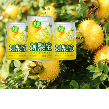 刺梨汁加工生产线